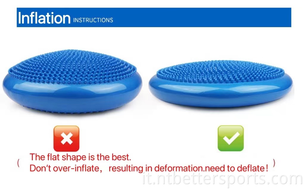 wobble cushion	